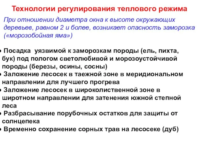 Технологии регулирования теплового режима Посадка уязвимой к заморозкам породы (ель, пихта,