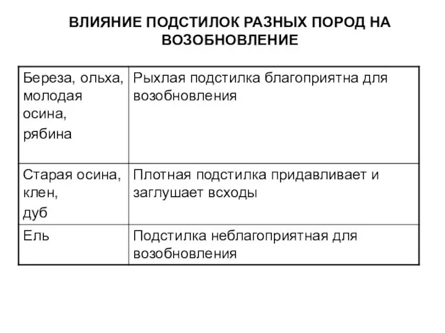 ВЛИЯНИЕ ПОДСТИЛОК РАЗНЫХ ПОРОД НА ВОЗОБНОВЛЕНИЕ