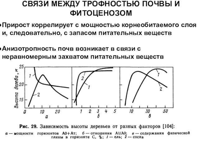 СВЯЗИ МЕЖДУ ТРОФНОСТЬЮ ПОЧВЫ И ФИТОЦЕНОЗОМ Прирост коррелирует с мощностью корнеобитаемого