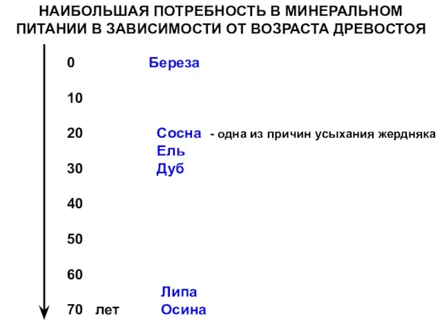 НАИБОЛЬШАЯ ПОТРЕБНОСТЬ В МИНЕРАЛЬНОМ ПИТАНИИ В ЗАВИСИМОСТИ ОТ ВОЗРАСТА ДРЕВОСТОЯ 0