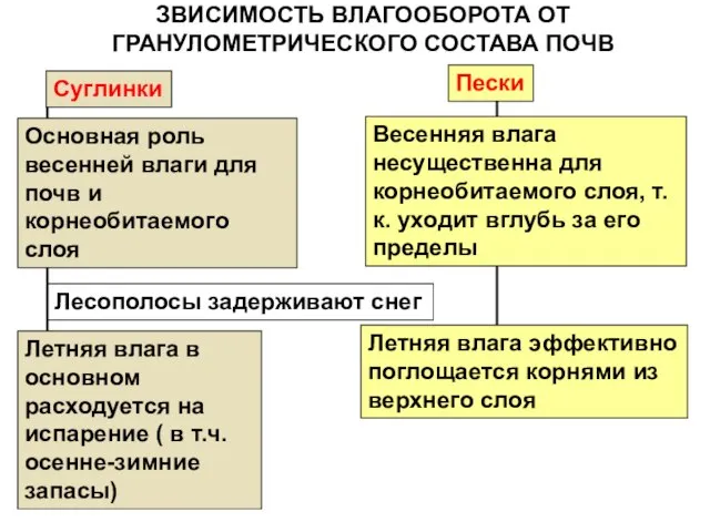 Суглинки Основная роль весенней влаги для почв и корнеобитаемого слоя Летняя