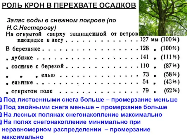 РОЛЬ КРОН В ПЕРЕХВАТЕ ОСАДКОВ Запас воды в снежном покрове (по