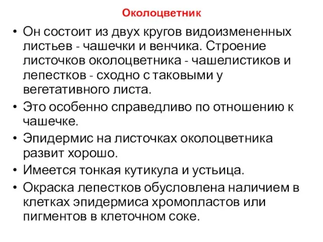 Околоцветник Он состоит из двух кругов видоизмененных листьев - чашечки и