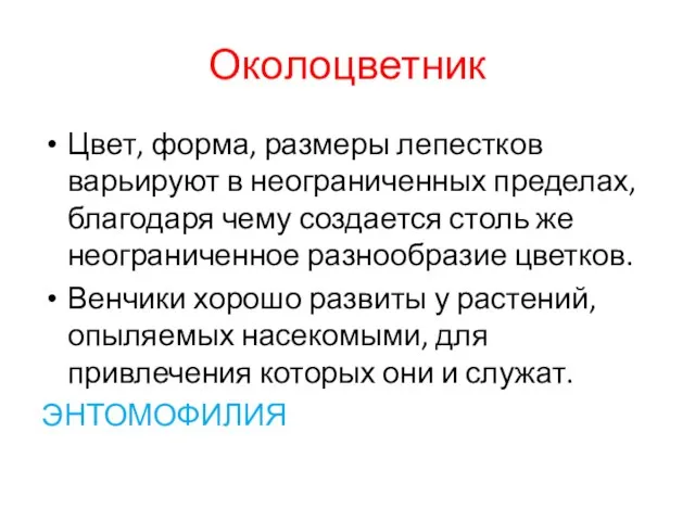 Околоцветник Цвет, форма, размеры лепестков варьируют в неограниченных пределах, благодаря чему