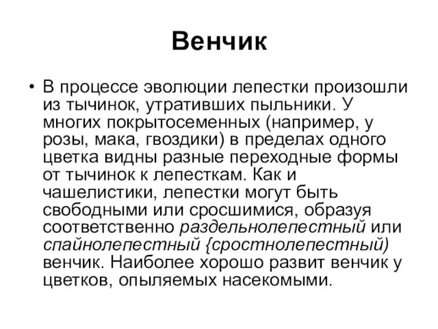 Венчик В процессе эволюции лепестки произошли из тычинок, утративших пыльники. У