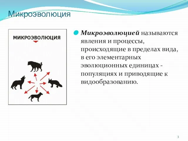 Микроэволюцией называются явления и процессы, происходящие в пределах вида, в его