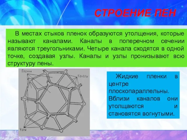 СТРОЕНИЕ ПЕН В местах стыков пленок образуются утолщения, которые называют каналами.