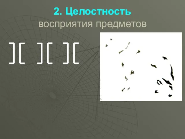 2. Целостность восприятия предметов