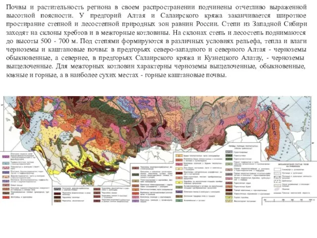 Почвы и растительность региона в своем распространении подчинены отчетливо выраженной высотной