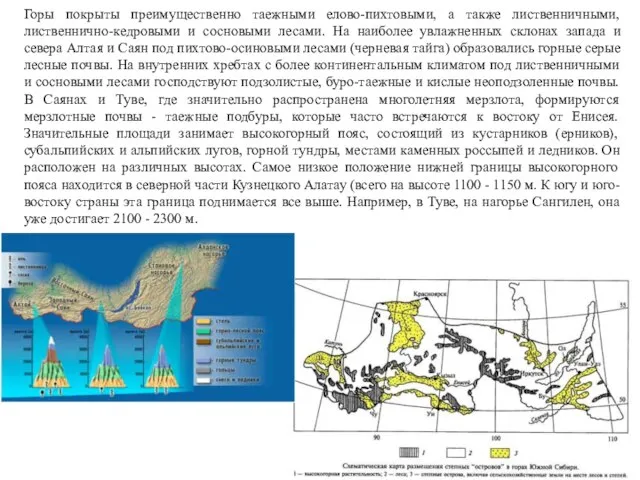 Горы покрыты преимущественно таежными елово-пихтовыми, а также лиственничными, лиственнично-кедровыми и сосновыми