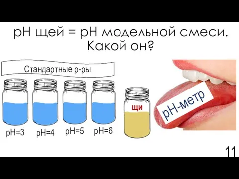 рН щей = рН модельной смеси. Какой он? Самый надежный рН-метр