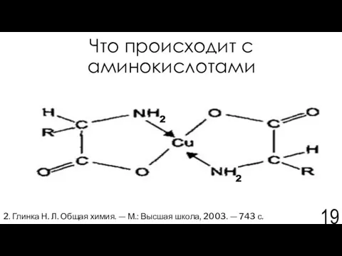 Что происходит с аминокислотами 2. Глинка Н. Л. Общая химия. —