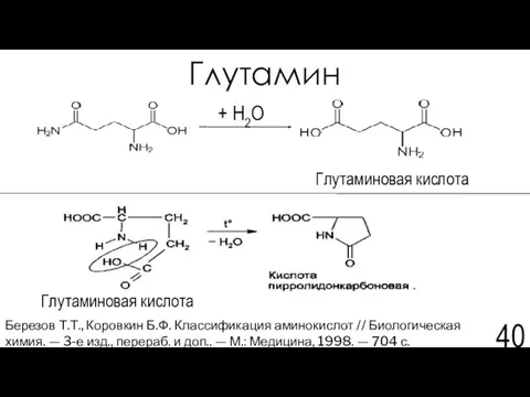 Глутамин Глутаминовая кислота Березов Т.Т., Коровкин Б.Ф. Классификация аминокислот // Биологическая