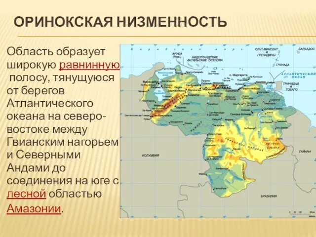 ОРИНОКСКАЯ НИЗМЕННОСТЬ Область образует широкую равнинную полосу, тянущуюся от берегов Атлантического