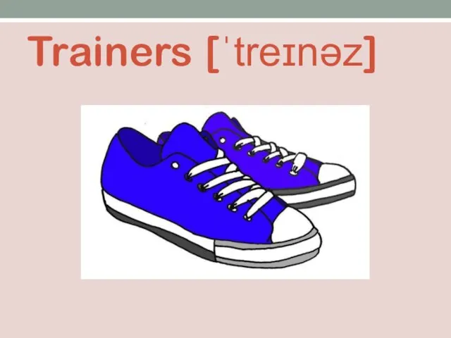 Trainers [ˈtreɪnəz]