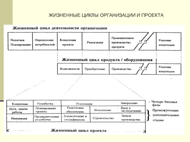 ЖИЗНЕННЫЕ ЦИКЛЫ ОРГАНИЗАЦИИ И ПРОЕКТА