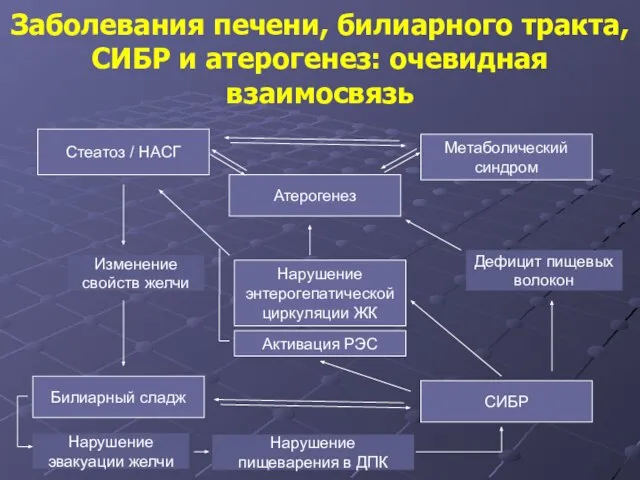 Заболевания печени, билиарного тракта, СИБР и атерогенез: очевидная взаимосвязь Стеатоз /