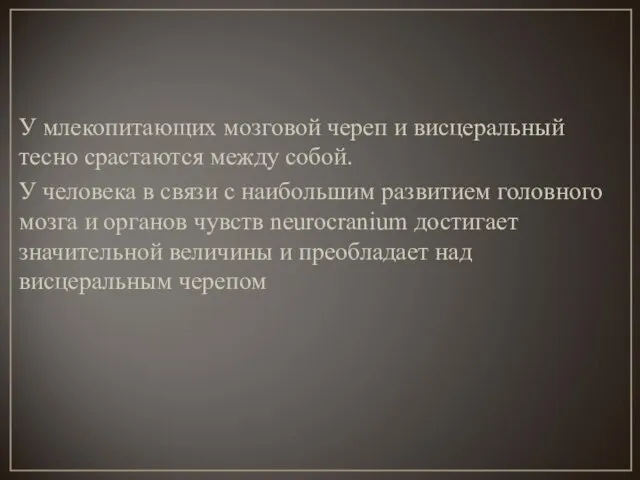 У млекопитающих мозговой череп и висцеральный тесно срастаются между собой. У