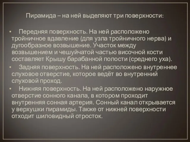 Пирамида – на ней выделяют три поверхности: Передняя поверхность. На ней