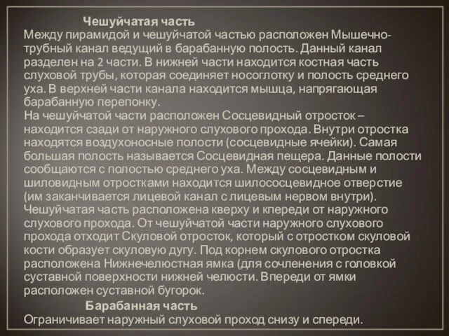 Чешуйчатая часть Между пирамидой и чешуйчатой частью расположен Мышечно-трубный канал ведущий