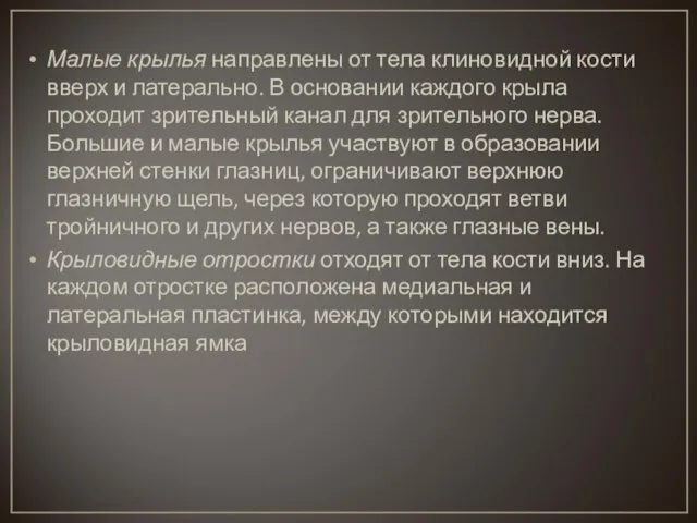 Малые крылья направлены от тела клиновидной кости вверх и латерально. В