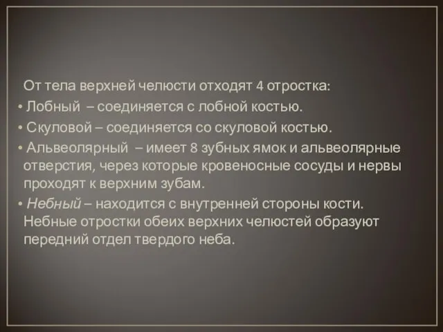 От тела верхней челюсти отходят 4 отростка: Лобный – соединяется с