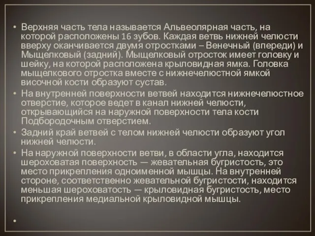 Верхняя часть тела называется Альвеолярная часть, на которой расположены 16 зубов.