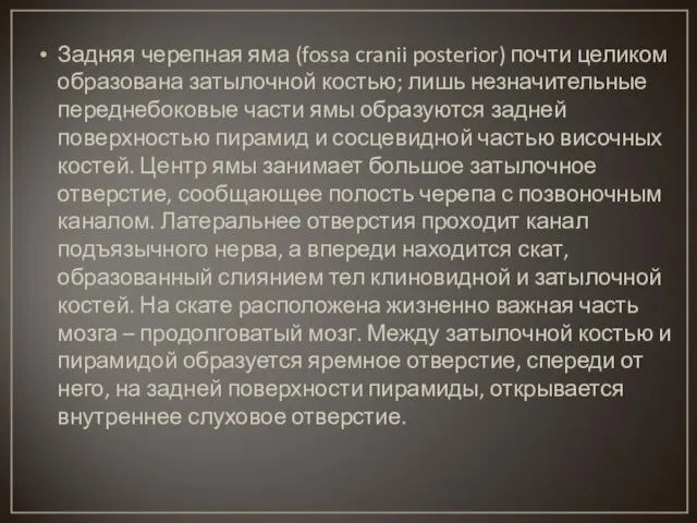 Задняя черепная яма (fossa cranii posterior) почти целиком образована затылочной костью;