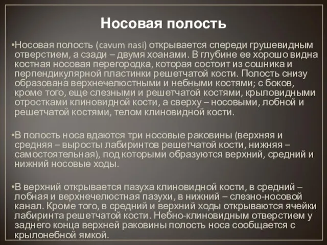 Носовая полость Носовая полость (cavum nasi) открывается спереди грушевидным отверстием, а