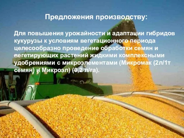 Предложения производству: Для повышения урожайности и адаптации гибридов кукурузы к условиям