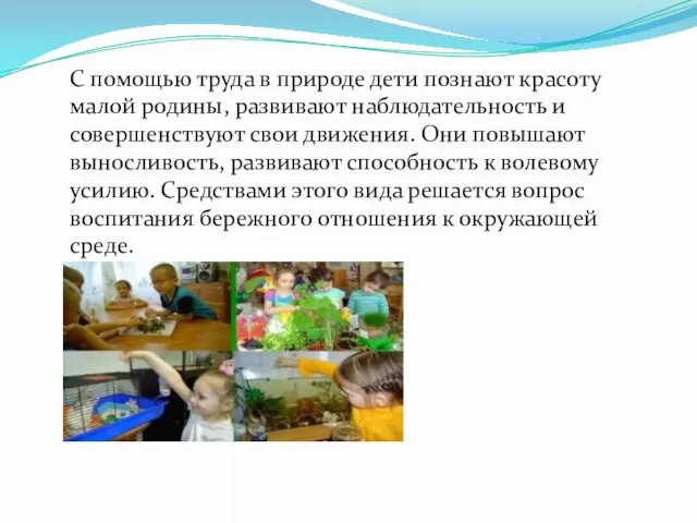 С помощью труда в природе дети познают красоту малой родины, развивают