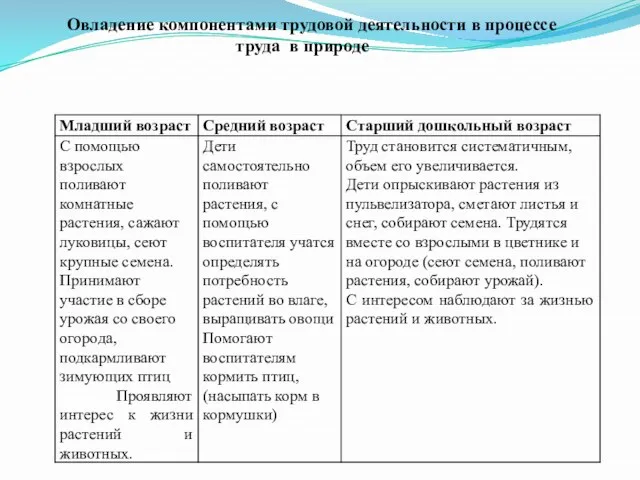 Овладение компонентами трудовой деятельности в процессе труда в природе