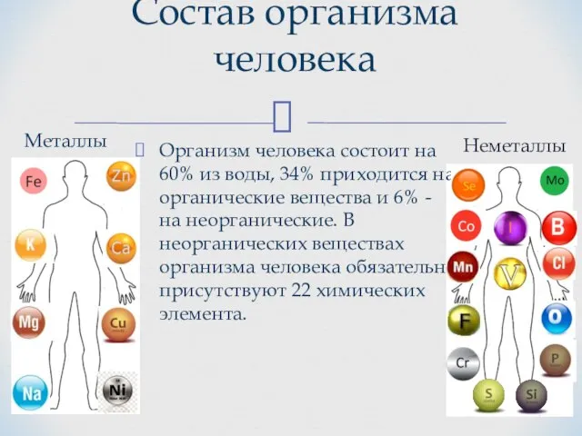 Состав организма человека Металлы Организм человека состоит на 60% из воды,