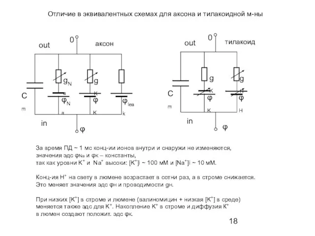 Сm φK gK φH gH φ 0 in out Отличие в