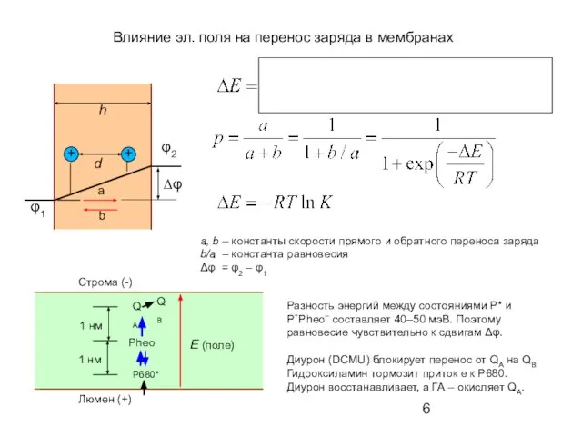 + + h d φ1 Влияние эл. поля на перенос заряда