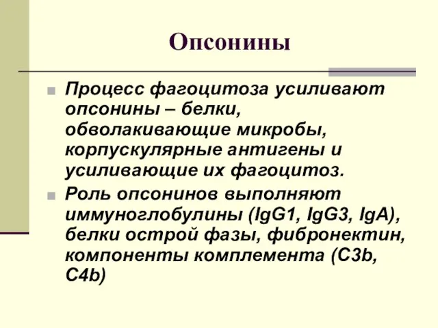 Опсонины Процесс фагоцитоза усиливают опсонины – белки, обволакивающие микробы, корпускулярные антигены