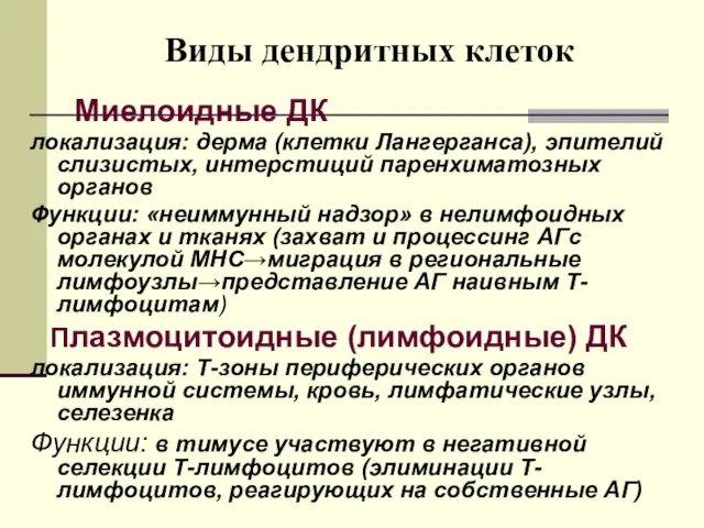 Виды дендритных клеток Миелоидные ДК локализация: дерма (клетки Лангерганса), эпителий слизистых,