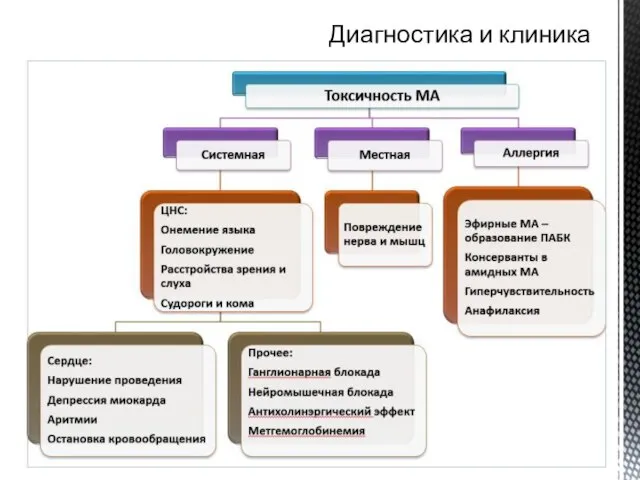 Диагностика и клиника