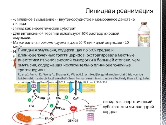 «Липидное вымывание» - внутрисосудистое и мембранное действие липида Липид как энергетический