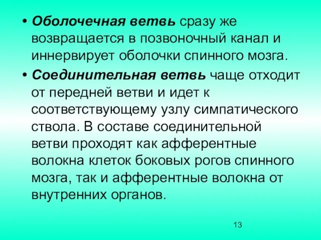 Оболочечная ветвь сразу же возвращается в позвоночный канал и иннервирует оболочки