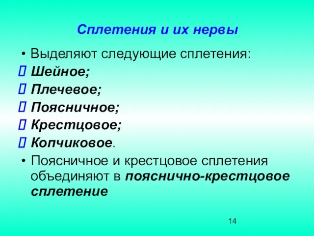 Сплетения и их нервы Выделяют следующие сплетения: Шейное; Плечевое; Поясничное; Крестцовое;