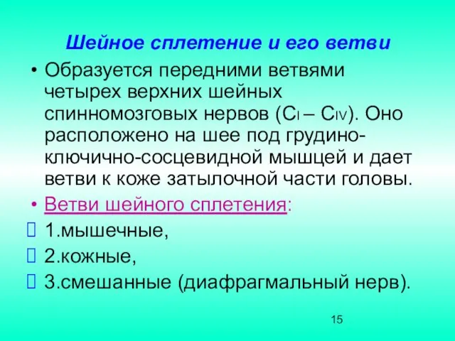 Шейное сплетение и его ветви Образуется передними ветвями четырех верхних шейных