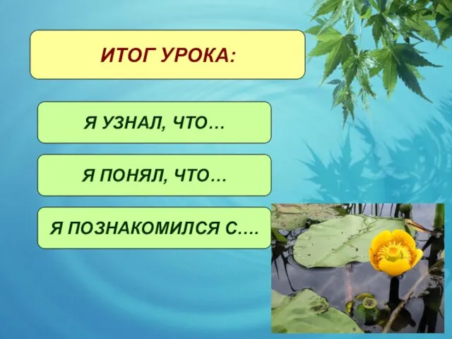 ИТОГ УРОКА: Я УЗНАЛ, ЧТО… Я ПОНЯЛ, ЧТО… Я ПОЗНАКОМИЛСЯ С….