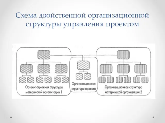 Схема двойственной организационной структуры управления проектом