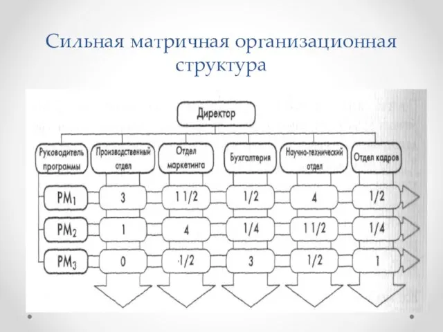 Сильная матричная организационная структура