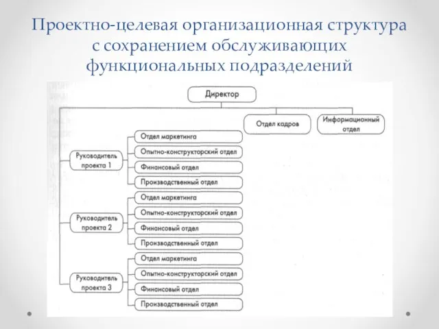 Проектно-целевая организационная структура с сохранением обслуживающих функциональных подразделений