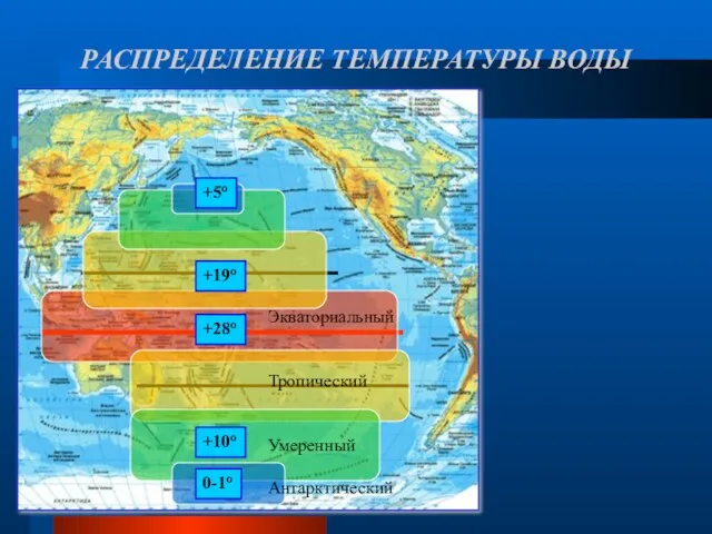 РАСПРЕДЕЛЕНИЕ ТЕМПЕРАТУРЫ ВОДЫ Экваториальный Тропический Умеренный Антарктический +19о +5о +10о 0-1о +28о