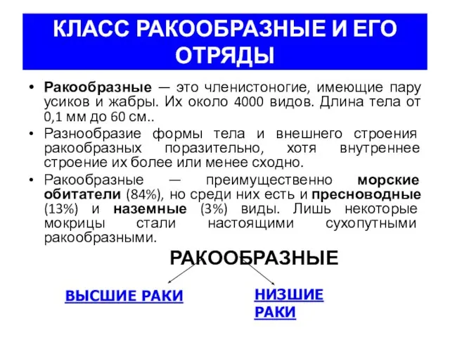 КЛАСС РАКООБРАЗНЫЕ И ЕГО ОТРЯДЫ Ракообразные — это членистоногие, имеющие пару