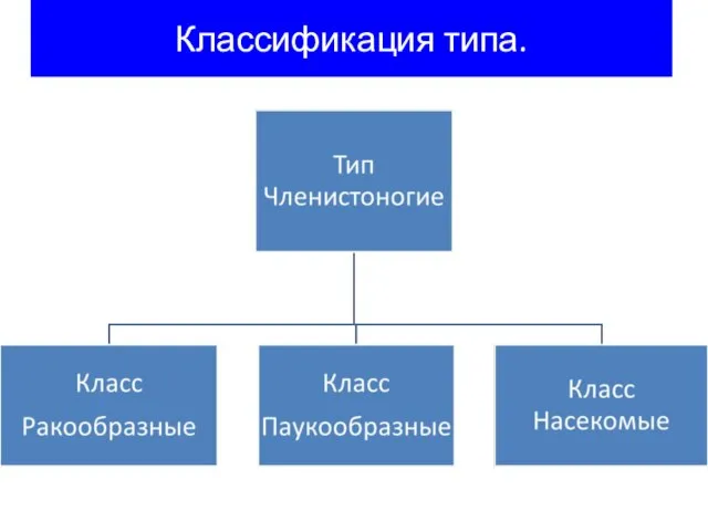 Классификация типа.