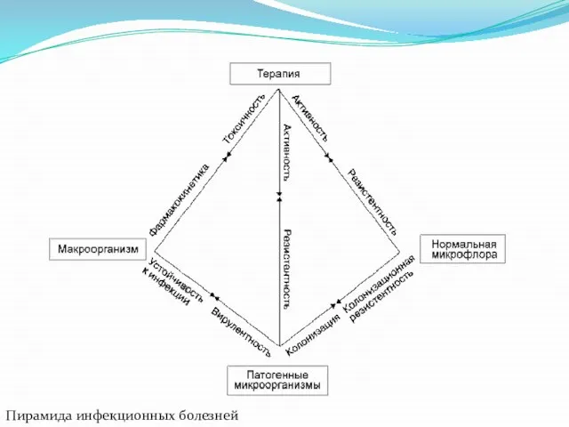 Пирамида инфекционных болезней